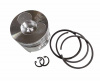 porshen v sbore 170F (dizel)
