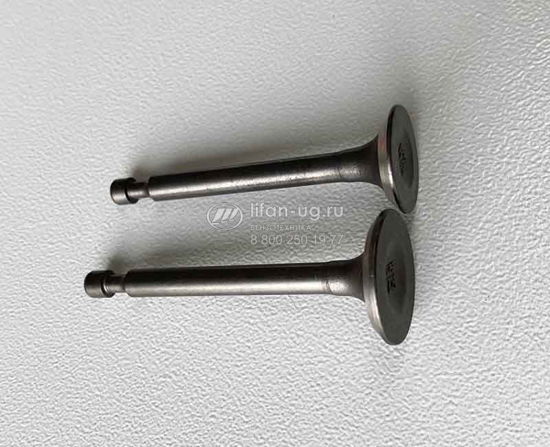 klapan 160F para